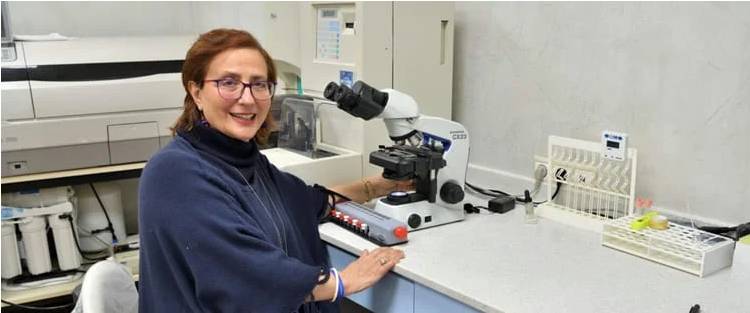 λογότυπο και σχετικά με την εταιρία